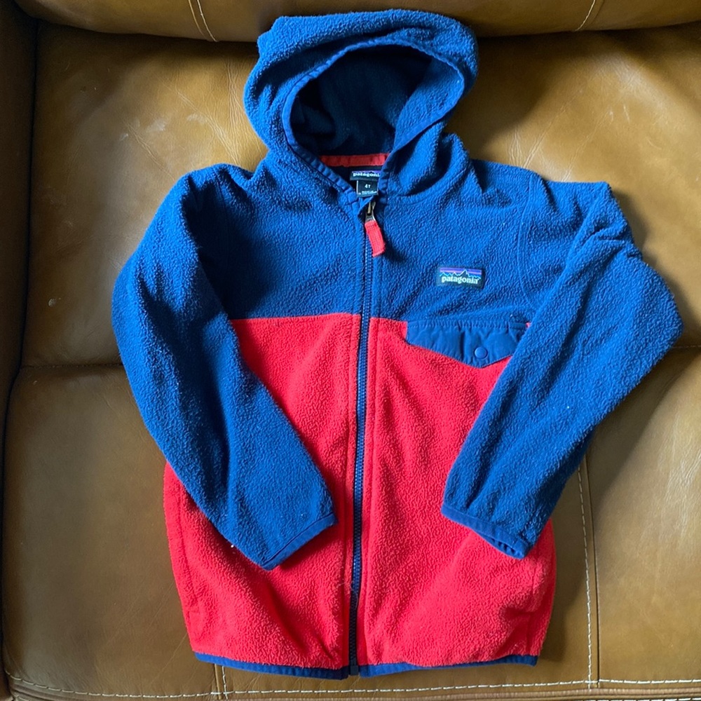 Patagonia 4T Micro D fleece zip up